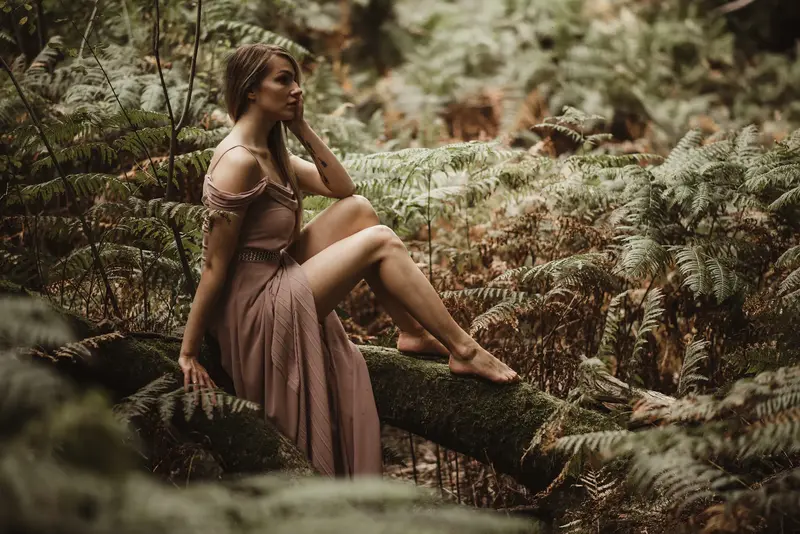 The Fern Sanctuary fine art photograph #2
